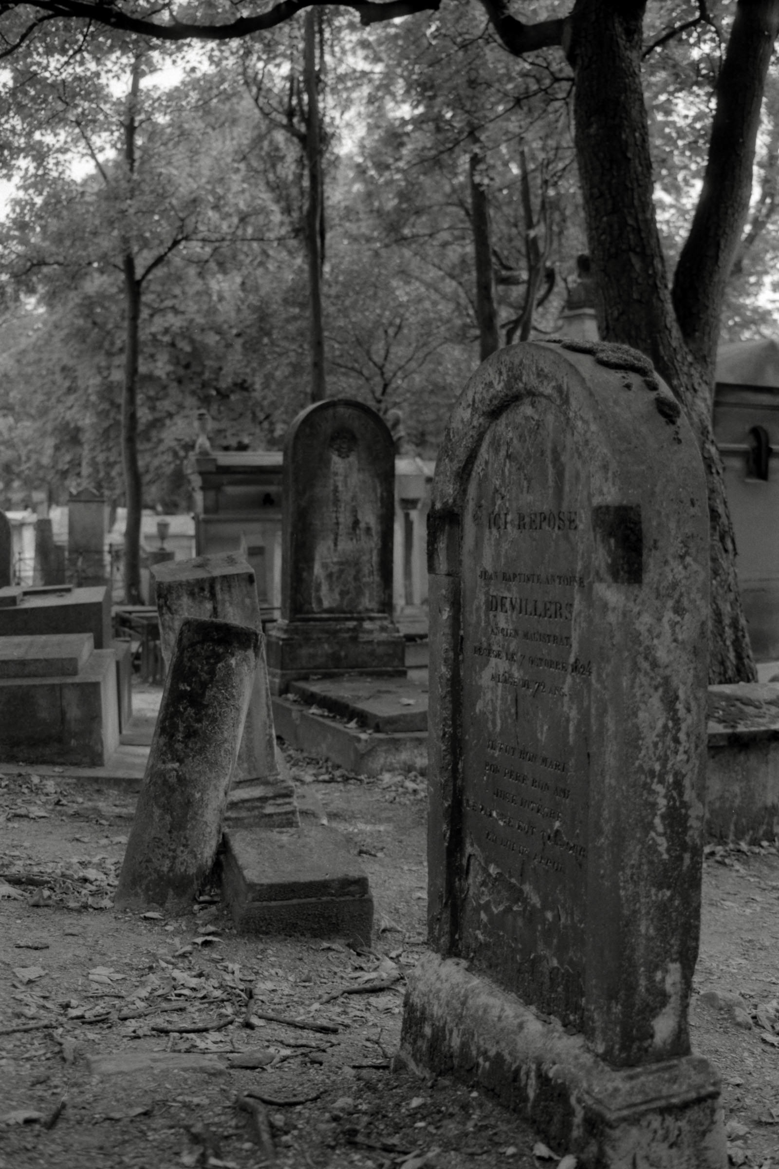 AHP F1990 09 002 sc250506 img26 NLP